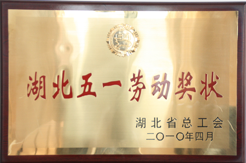 201.jpg